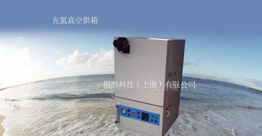 充氮真空烘箱   充氮真空干燥箱  充氮真空烤箱