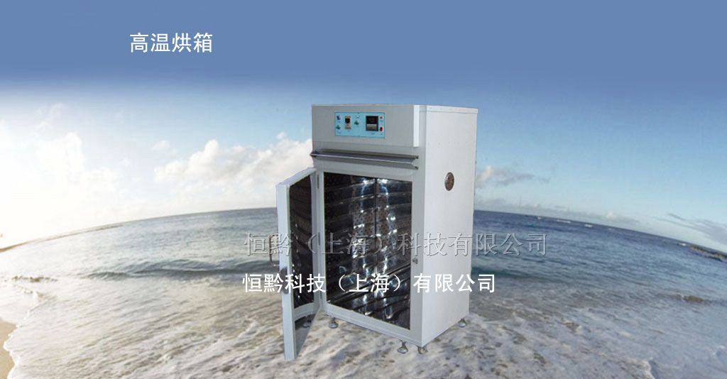 恒温干燥箱/上海高温箱