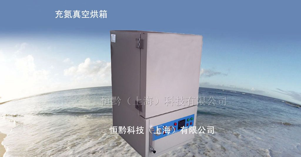 真空充氮气烘箱   真空充氮气烤箱