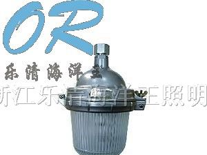 供应NFC9112防眩泛光灯