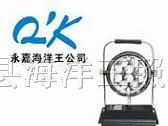 供应FW6102GF防爆工作灯
