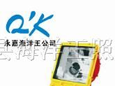 供应BFC8110防爆泛光灯