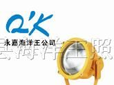 供应BTC8200防爆投光灯