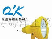 供应BTC8210防爆投光灯