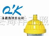 供应BPC8720防爆平台灯