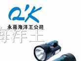 供应JIW5300便携式超强气体探照灯