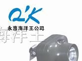 供应IW5110/IW5110B固态强光防爆头灯