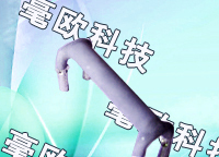 供应仿贴片型采样电阻