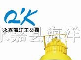 供应BPC8710防爆平台灯