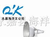 供应NTC9200防震型投光灯