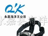 供应IW5130/LT微型防爆头灯