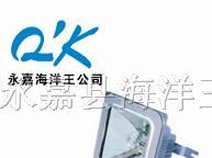 供应NFC9100防眩棚顶灯