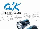 供应JIW5300便携式超强气体探照灯