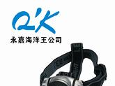供应IW5130/LT微型防爆头灯