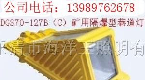 供应  矿用隔爆型巷道灯