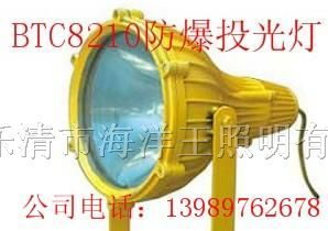 供应  防爆投光灯