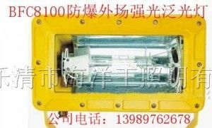 供应 外场防爆泛光灯