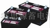 供应价西恩迪（原大力神）蓄电池