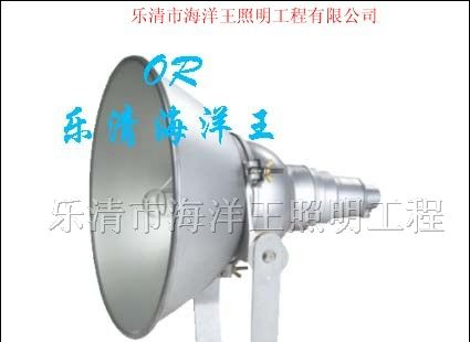 供应NTC9210防震型投光灯 海洋王照明