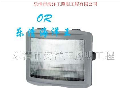 供应NSE9720防眩应急通路灯NSE9720