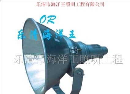 供应NTC9200防震型超强投光灯 海洋王投光灯
