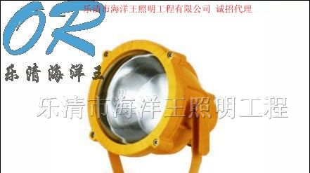 供应BTC8200 防爆投光灯NTC9210 SFW6110 JW7210