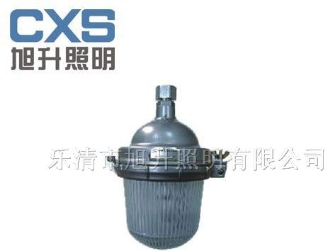 供应CNFC9112防眩泛光灯，防眩灯，泛光灯，道路灯