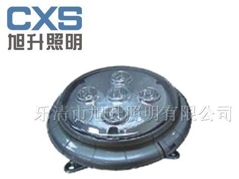 供应CNFC9173固态免维护顶灯，顶灯