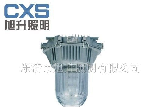 供应CNFC9180防眩泛光灯，应急灯，道路灯