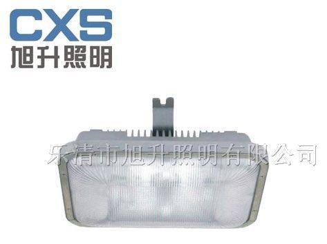 供应CNFC9178固态免维护顶灯，车间无极灯，长寿顶灯