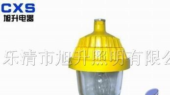 供应CBPC8720防爆平台灯