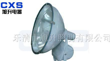 供应CZT6902防水防尘防震投光灯