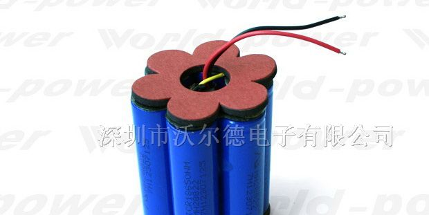 供应深圳锂电池厂家