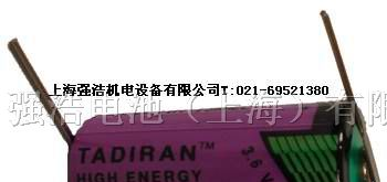 供应锂电池以色列TL-5955