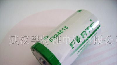 供应流量计专用D型3.6V ER34615高容量电池