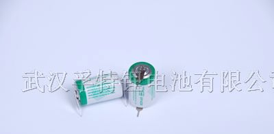 供应智能电表专用1/2AA  ER14250容量型电池