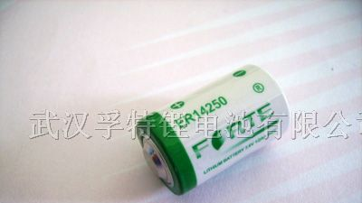 供应智能电表专用1/2AA  ER14250容量型电池