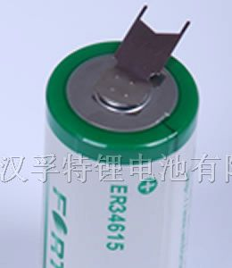 供应D型3.6V柱式锂亚电池SIZE ER34615