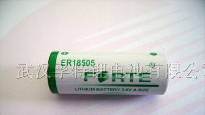 供应燃气表专用3.6V A型 ER18505H电池