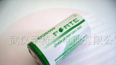 供应3.6V流量计专用C型ER26500电池