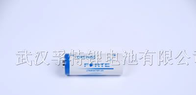 供应3.0V锂锰柱式CR17450电池