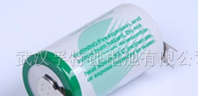供应D型大功率型size CR34615电池