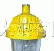 供应DBPC8720防爆平台灯
