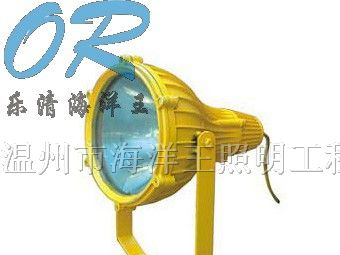 供应海洋王BTC8210防爆投光灯