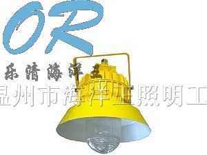 供应海洋王灯具BPC8710防爆平台灯