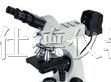 供应金相显微镜MA4008