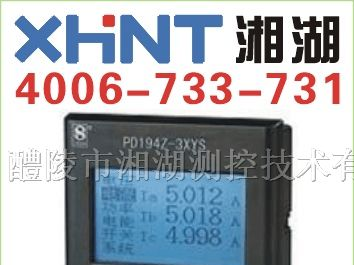 供应PM2428 单相直流电流表
