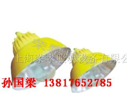 供应BLC8600 防爆道路灯 BLC8600 防爆平台灯