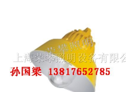 供应BPC8700 防爆平台灯 BPC8700