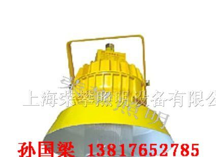 供应BPC8710 防爆平台灯 BPC8710